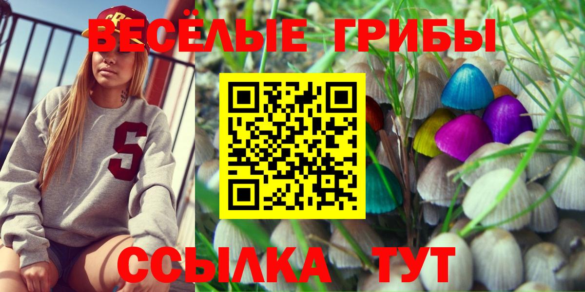 Галлюциногенные грибы Cubensis  Вход с VPN  цены   Дедовск 