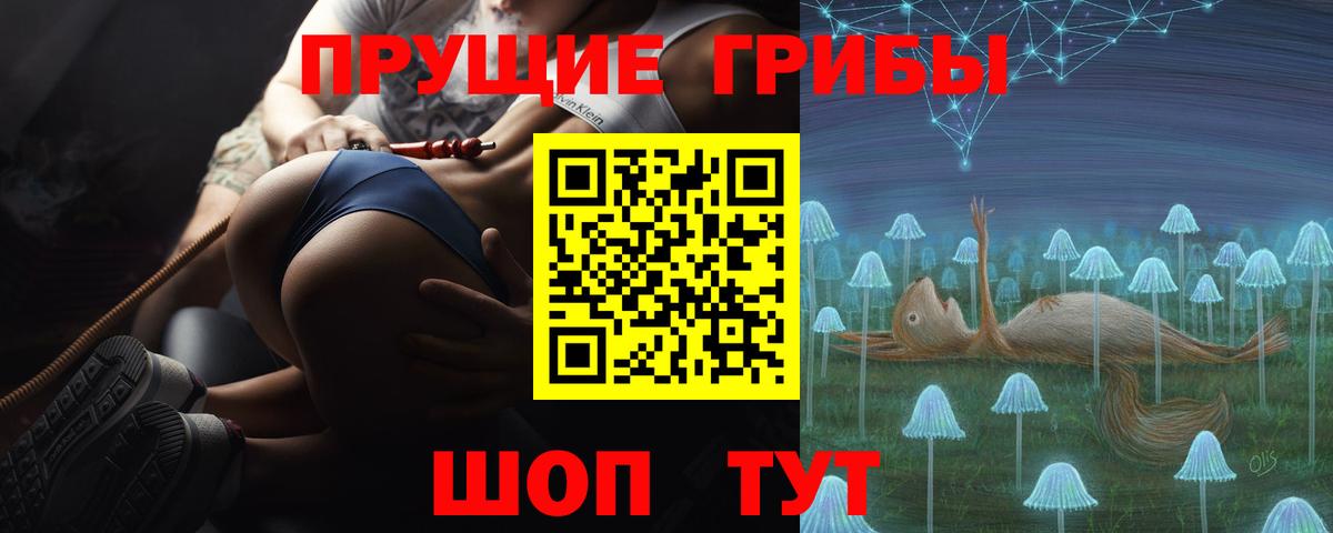 Псилоцибиновые грибы Psilocybe Дедовск