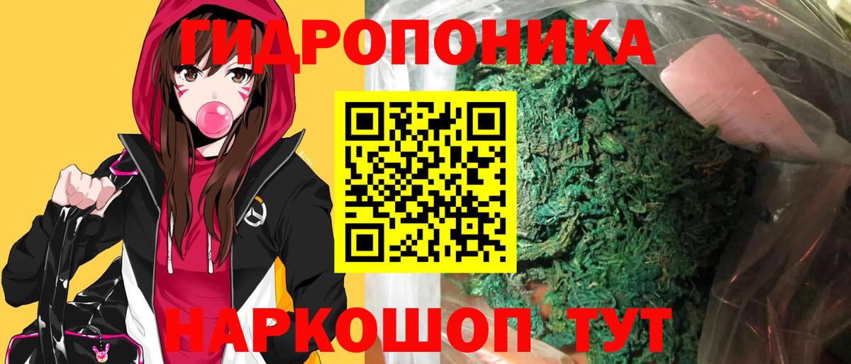 Бошки марихуана конопля Дедовск